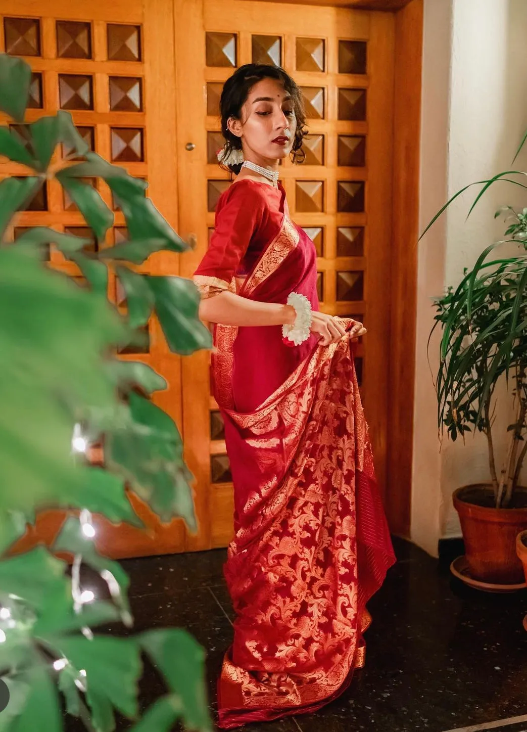 Chiffon Silk Banarsi - Diya
